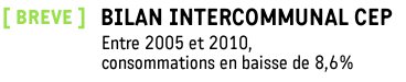 Bilan intercommunal CEP